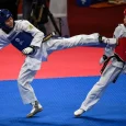 Karate Dan Taekwondo