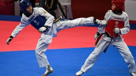 Karate Dan Taekwondo