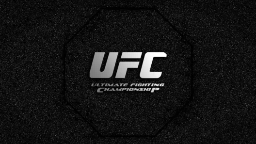 Perbedaan Mma Dan Ufc