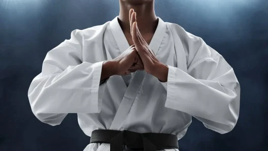 Tingkatan Sabuk Di Karate